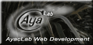 AyacLab Web Development