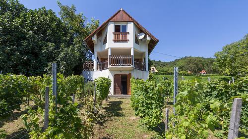 Balatoni ingatlan.  Szőlőhegyen csodálatos balatoni panorámával rendelkező ház eladó!