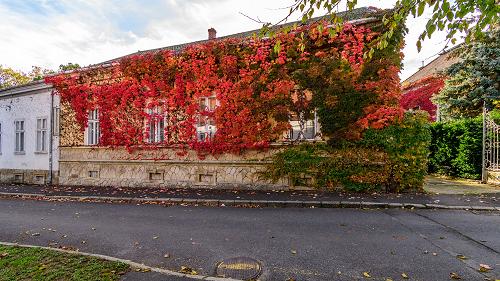 Nieruchomość Balaton, Nieruchomości handlowe.  