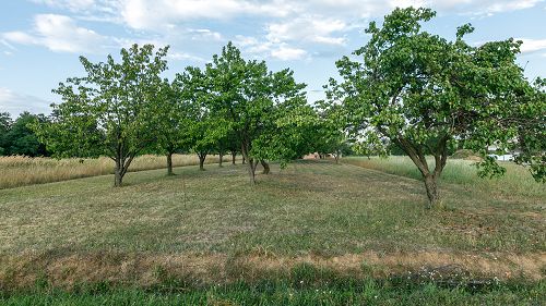 Widok panoramiczny.  