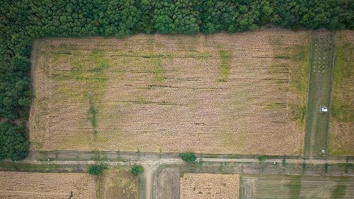 It is a building plot for sale in Alsópáhok, where the construction of the public utilities is in progress.