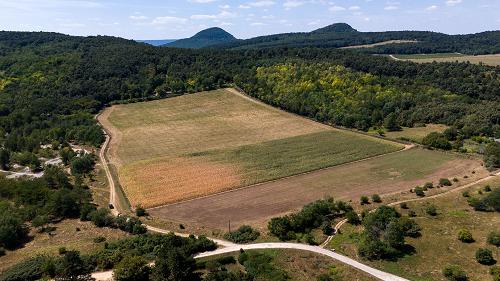 Panorámás, Balatoni ingatlan, Üzleti lehetőségek.  