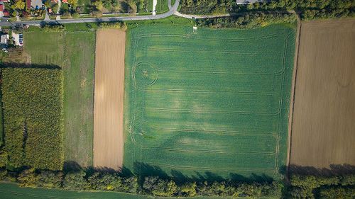 Panorámás.  Eladó nagy méretű, építési telek Nemesbükön